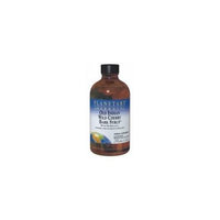 Planetary Herbals Old Indian Wild Cherry Bark Syrup 16 fl oz