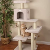 Petco Premium Tree Bungalow for Cats, 19.7