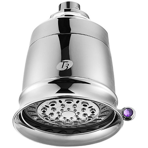 T3 Source Shower Filter Showerhead Reviews 2019