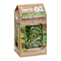 FarmedHere Local Petite Salad Greens Spicy Mix
