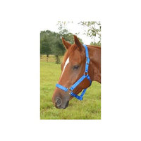 Hamilton Halter Company Animal Legends Polypropylene 1-Inch Horse Halter