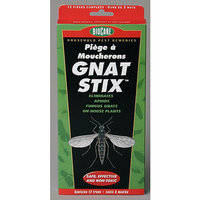 Springstar S5333 12 Count BioCare Gnat Stix