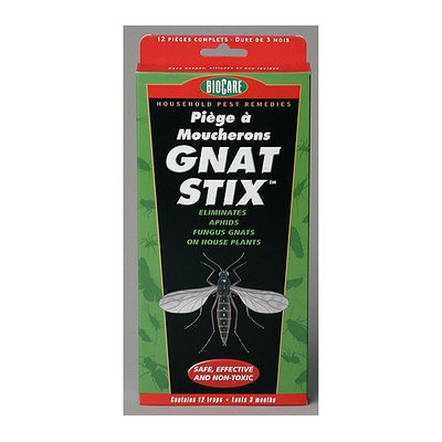 Springstar S5333 12 Count BioCare Gnat Stix