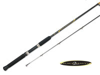 South Bend Black Beauty 2 Trolling Rod