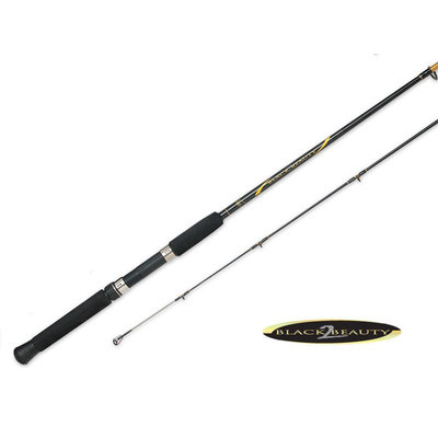South Bend Black Beauty 2 Trolling Rod