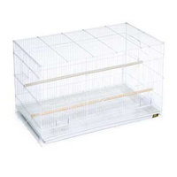 Mojetto Bird Supplies F0610 Keet Flight Cage 30