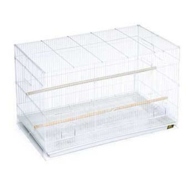 Mojetto Bird Supplies F0610 Keet Flight Cage 30