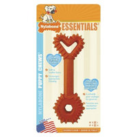 Puppy Heart Wand Nylabone Rubber Chew