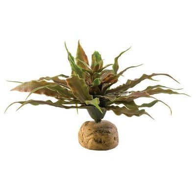 Hagen Exo Terra Terrarium Plant
