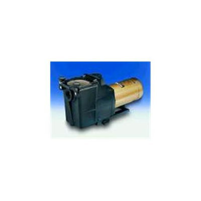 HAYWARD Hayward SPX1610Z1M 1. 5 Hp Threaded Shaft Max Rated Gold Motor