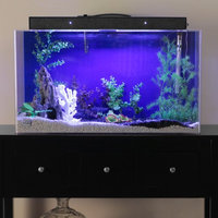 Advance Aqua Tanks Clear For Life Rectangle Aquarium Black, Size: 90-Gal (48L x 18W x 24H in.)