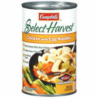 Campbell's® Select Harvest Chicken with Egg Noodles Soup