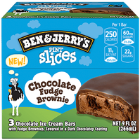 Ben & Jerry's® Pint Slices Chocolate Fudge Brownie