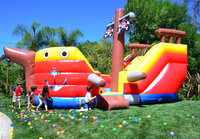 Cam Consumer Products, Inc. DuraLite 15' Pirate Ship Slide