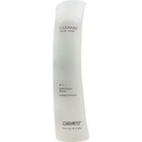 Giovanni Cosmetics, Inc. Body Wash Bamboo Birch Giovanni 2 oz Liquid