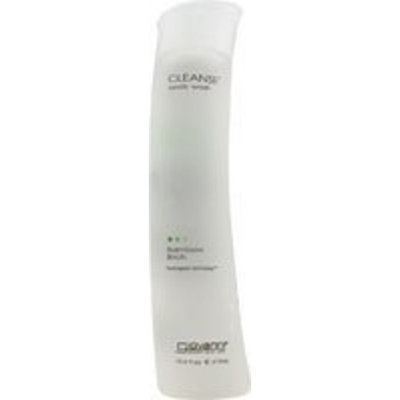 Giovanni Cosmetics, Inc. Body Wash Bamboo Birch Giovanni 2 oz Liquid