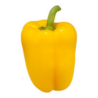 Peppers Bell Yellow Organic