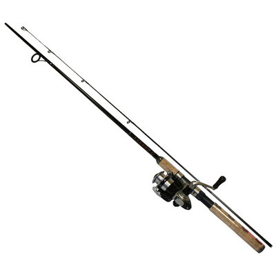 Daiwa Corporation Daiwa Spinning Combo Strike Force Reel/Sweepfire Rod