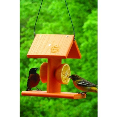 Going Green Oriole Fruit Feeder By Audubon/Woodlink