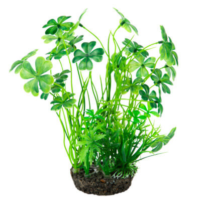 National GeographicTM Landscape Clover Aquarium Plant