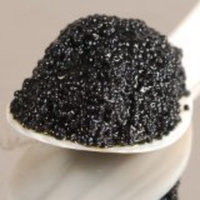 Season Brand Caviar Season Black Capelin Caviar 2 oz - Pack of 12