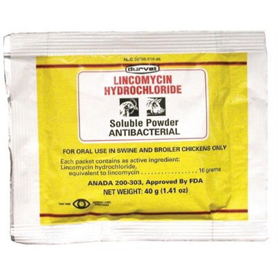 Durvet Lincomycin Hydrochloride Soluble Powder 40 Gm
