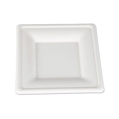 Horizon Display SCT ChampWare Molded Fiber Square Plates