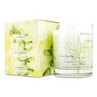 Thymes Aromatic Candle Olive Leaf 255G/9Oz