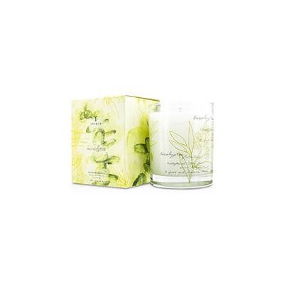 Thymes Aromatic Candle Olive Leaf 255G/9Oz