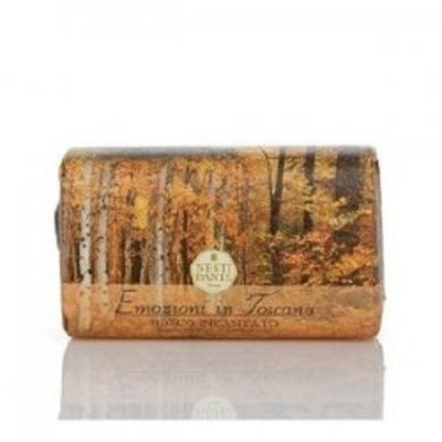 Shady Day NESTI DANTE Emozioni di Toscana, Enchanting Forest Soap 250 g