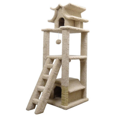 New Cat Condos 67