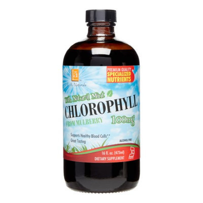 Chlorophyll 100mg with Spearmint, 16 oz, L.A. Naturals