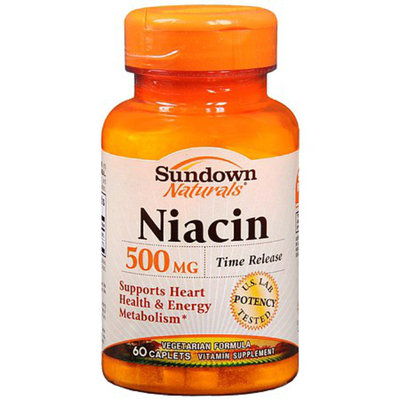 Sundown Naturals Niacin 500 mg Dietary Supplement Caplets