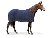 Centaur Solid 220G Fleece Sheet 72