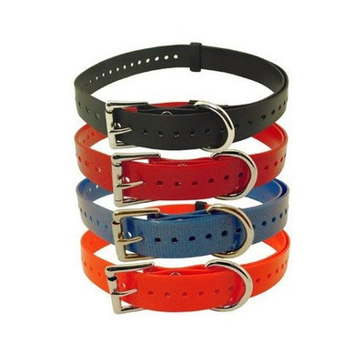 Tri Tronics Collar with Roller Buckle and Nickel Hardware