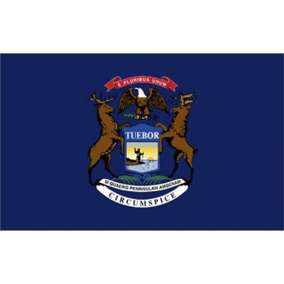 Annin Michigan State Flag - 3' x 5'