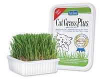 Cat Grass Plus