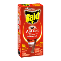 Raid Ant Gel