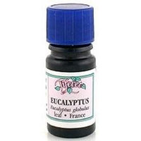 Tiferet-avraham Aromatherapy Tiferet - Blue Glass Aromatic Pro-Organic Oil, Eucalyptus Globulus, 5 ml