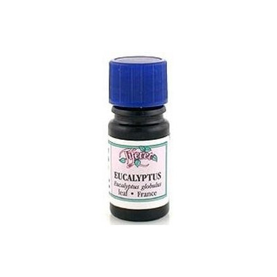 Tiferet-avraham Aromatherapy Tiferet - Blue Glass Aromatic Pro-Organic Oil, Eucalyptus Globulus, 5 ml