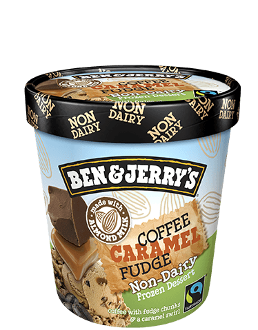 Ben & Jerry's® Coffee Caramel Fudge Non-Dairy Frozen Dessert