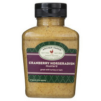 Archer Farms Cranberry Horseradish Mustard - 9.4 oz. Squeeze Bottle
