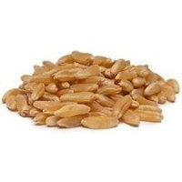 Bulk Grains 100% Organic Kamut Berries 25 Lbs