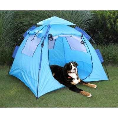 ABO Gear 10476 Instent Dog Haus Blue