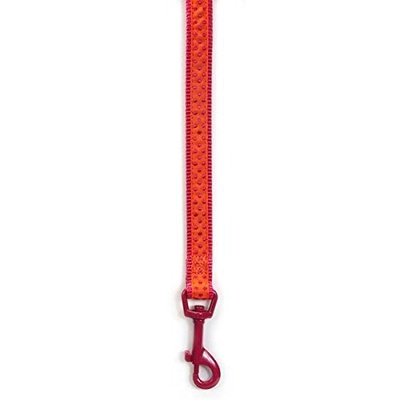 Zack & Zoey Nylon Brite Polka Dot Dog Lead, 4-Feet, Raspberry