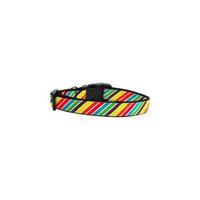 Ahi Striped Rainbow Nylon Ribbon Collars Medium