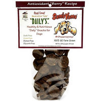 Sam's Yams Herbal Cookies Dog Berry Yammy 4.5 oz