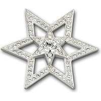Swarovski Pleasure Brooch