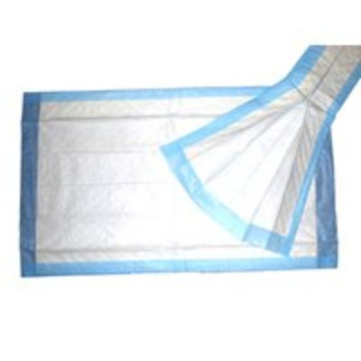 Griffin Medical Products UNDERPADS (6X50) 3801 Size: 17X24