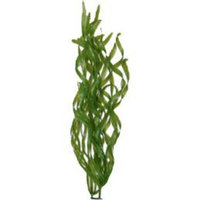 Tetra Corkscrew Val Aquarium Plant in Green